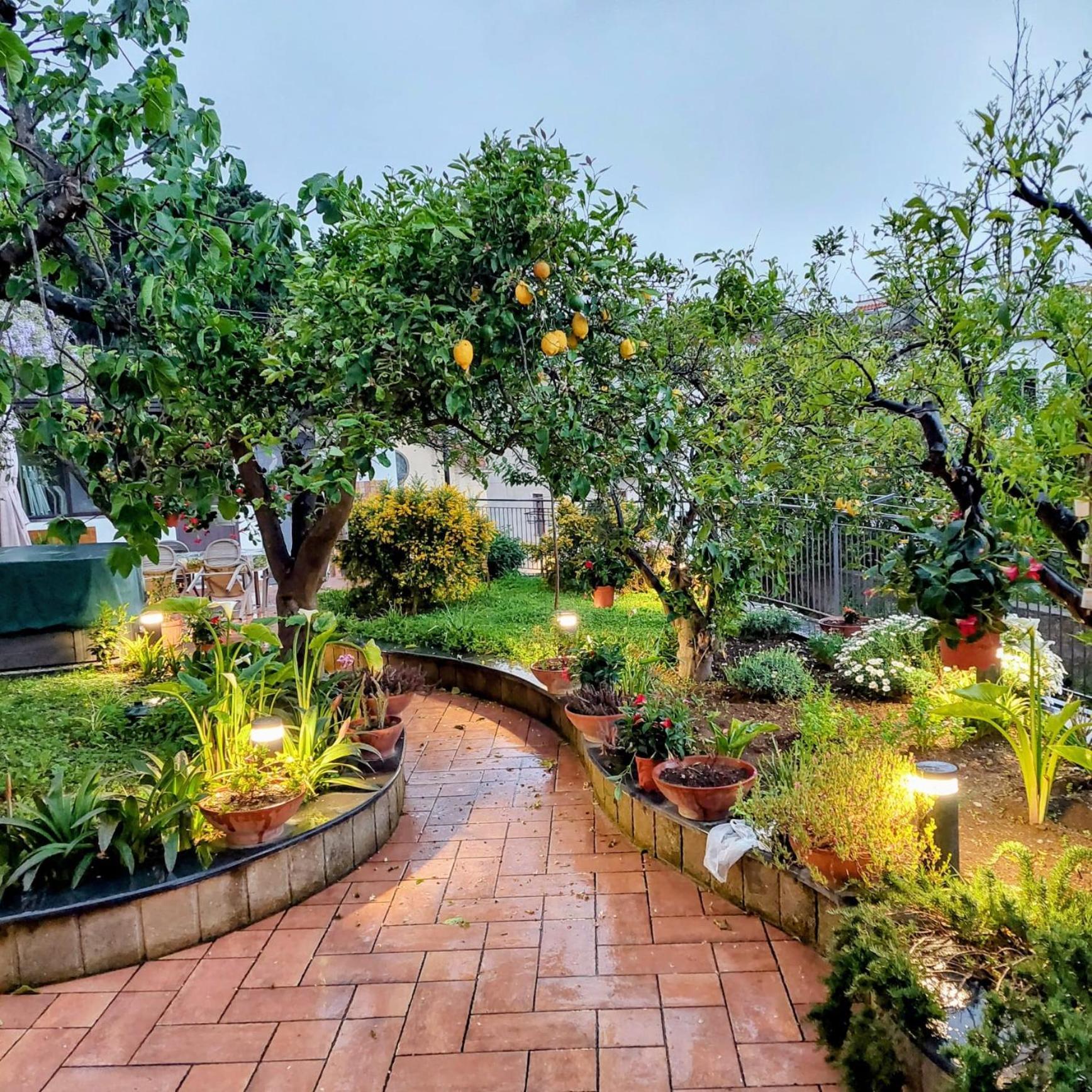 Апартаменти Il Giardino Dei Gigli Мета Номер фото